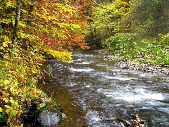 ערוץ ווּטאך, היום האחרון במסלול