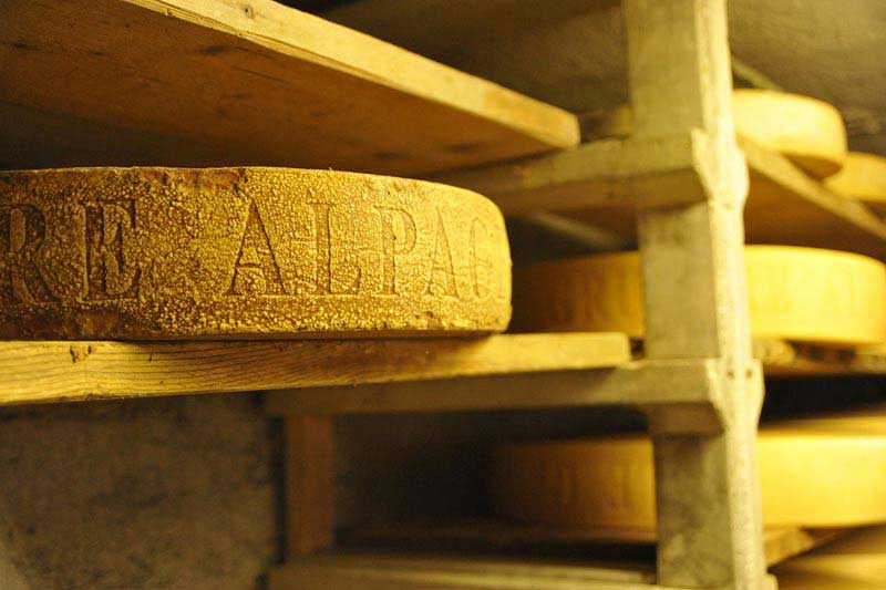 זמן התיישנות הגבינה הוא חמישה עד 18 חודשים