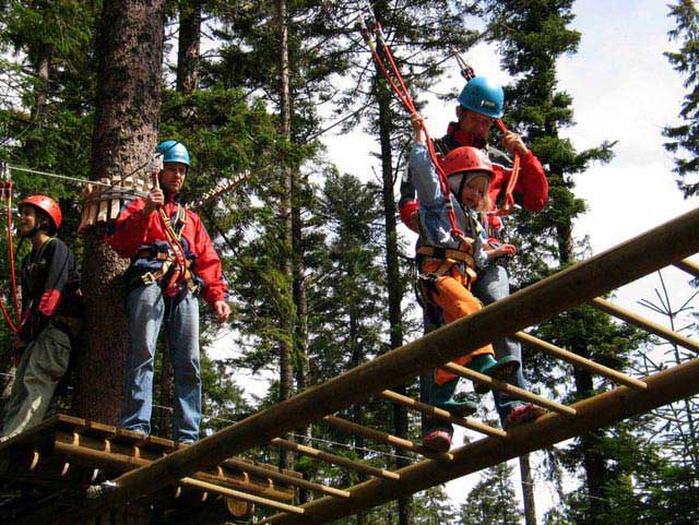 מטיילים על גשר עץ בפארק מֶליסקוׁפּף שביער השחור