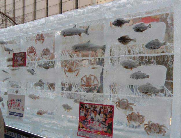 קפואים בזמן ... תצוגה משלל הדגה המקומית