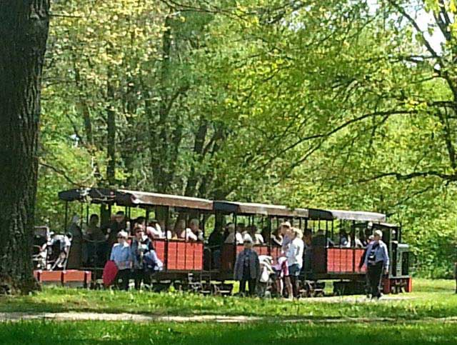 הרכבת בפארק