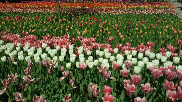 איזה יופי...