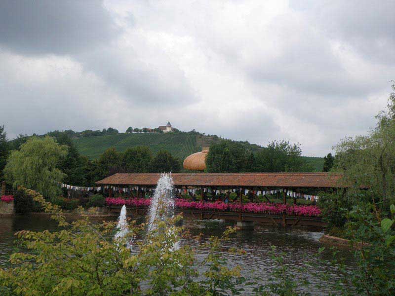 נוף הכרמים המקיפים את הפארק