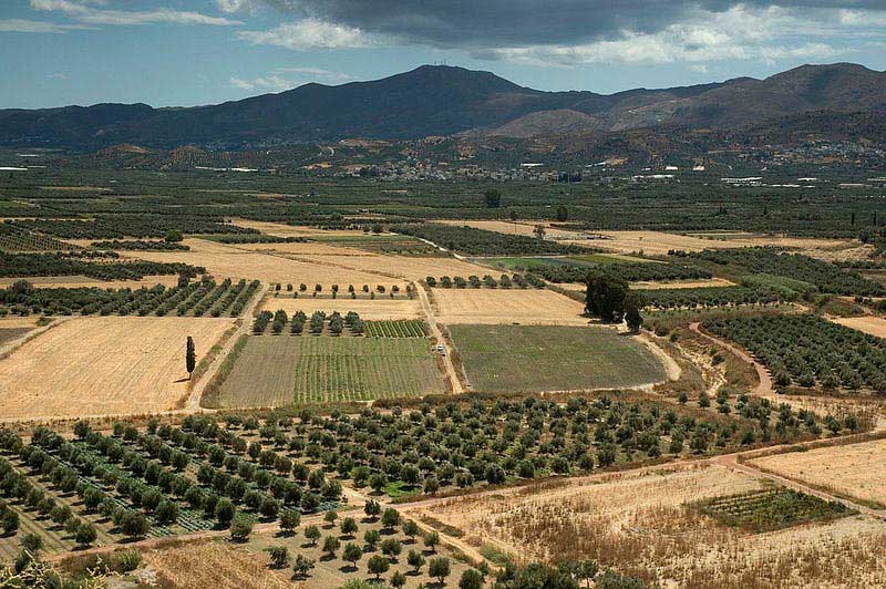מישור מסארה, האזור הפורה שבדרום איראקליוֹ