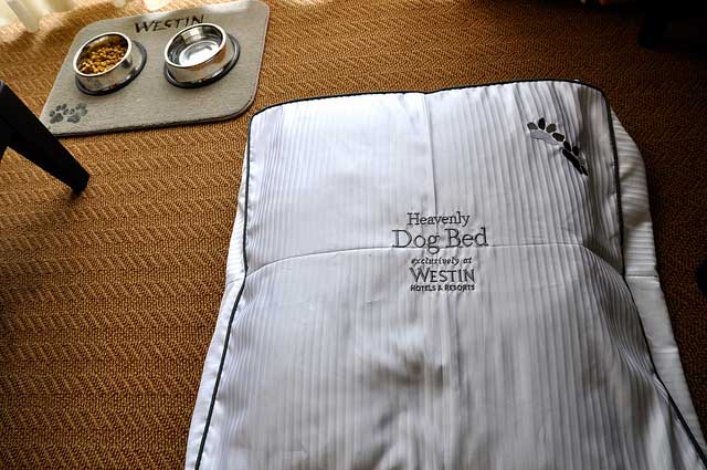 מיטה לכלב במלון של רשת Westin