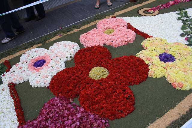 מרבדי פרחים בחג הלחם והיין הקדושים