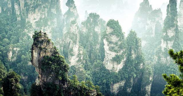 יער עמודי הסלע בפארק הלאומי דז