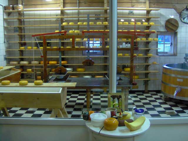 תצוגה על יצור גבינה בכפר זאנסה סכאנס