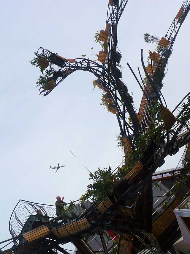 ענף מעץ האנפות