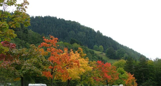 נוף סתווי באזור גוּטאך (ימים 6 ו-7 בטיול 3)