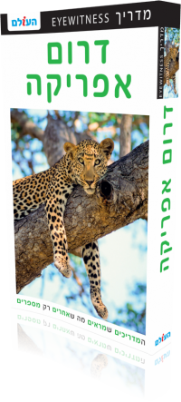 South Africa Eyewitness