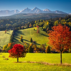 סלובקיה אייוויטנס