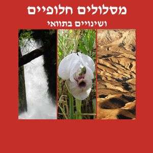 מסלולים חלופיים ושינויים בתוואי