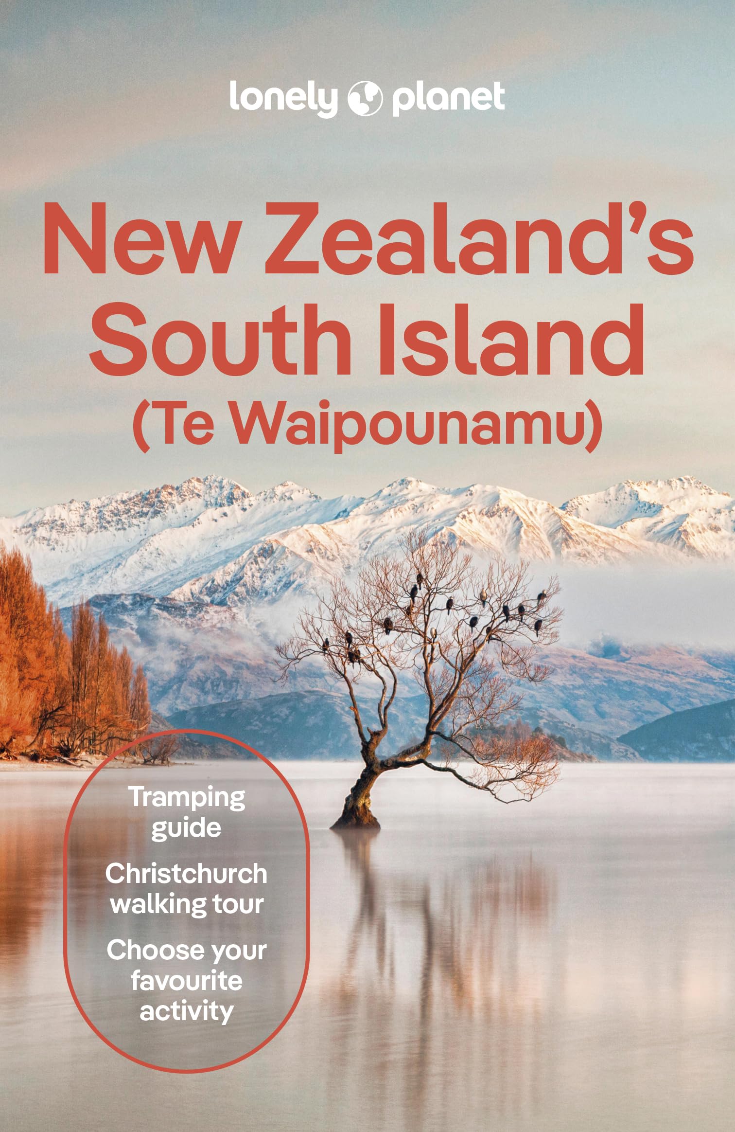 New Zealand's South Island 