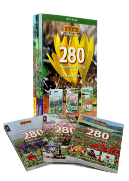 Maslulim - Flowering tracks 3 Pack